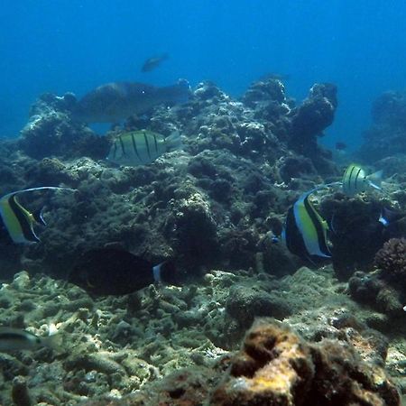 Sand Dollar House, Hiriketiya Dikwella Luaran gambar