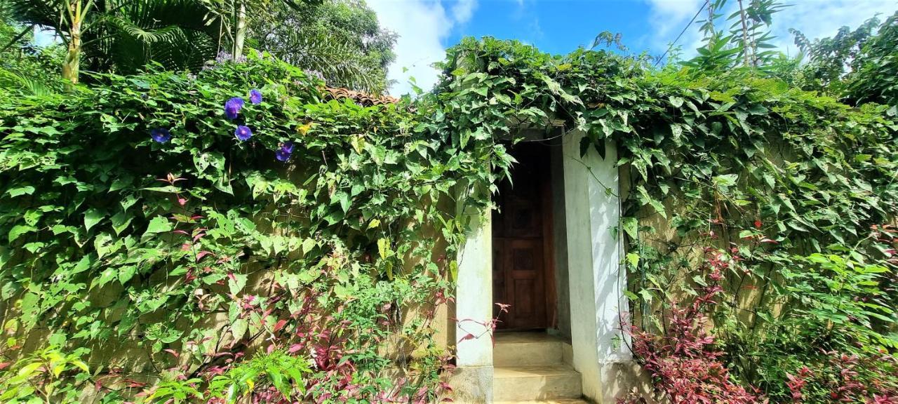 Sand Dollar House, Hiriketiya Dikwella Luaran gambar