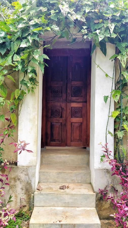 Sand Dollar House, Hiriketiya Dikwella Luaran gambar